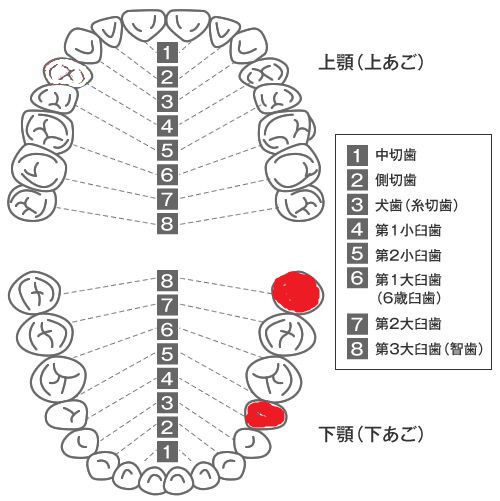 20151219_04.jpg