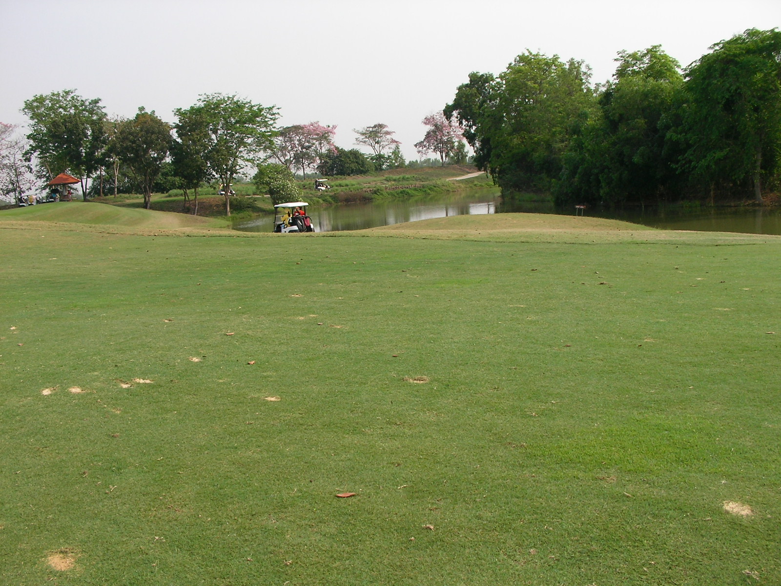 20140319_05.jpg
