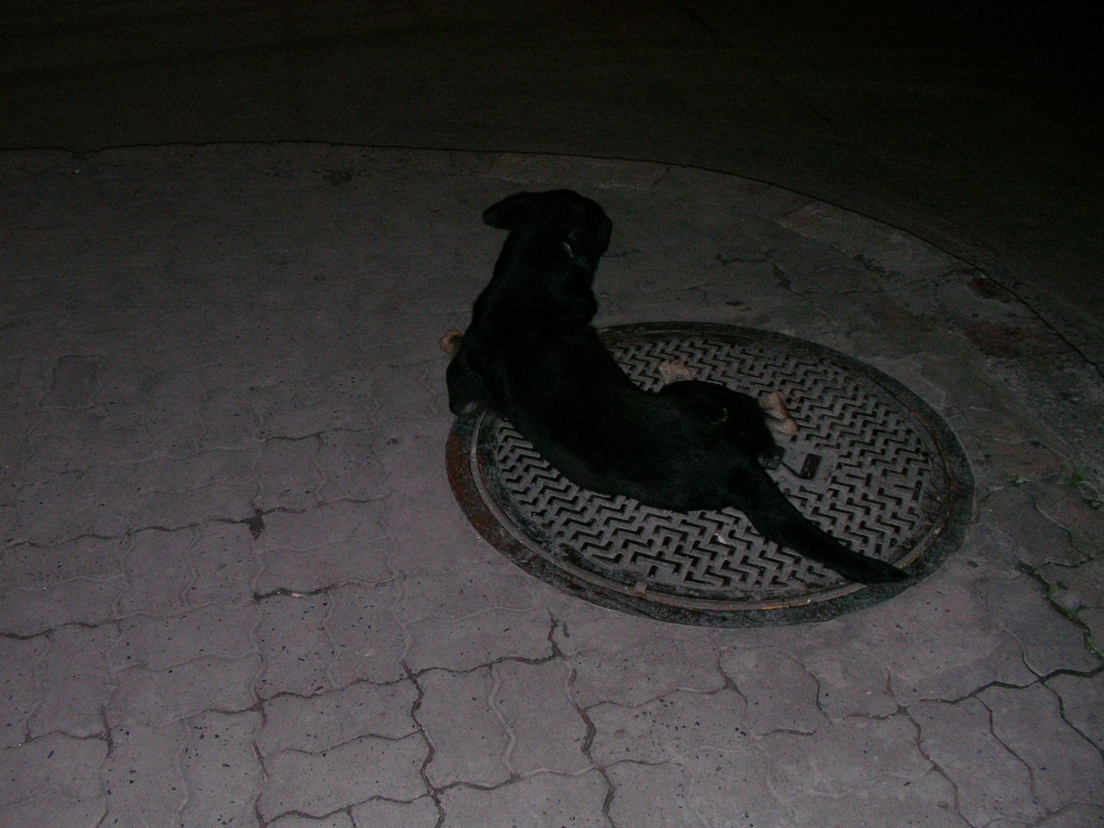 20140722_01.jpg