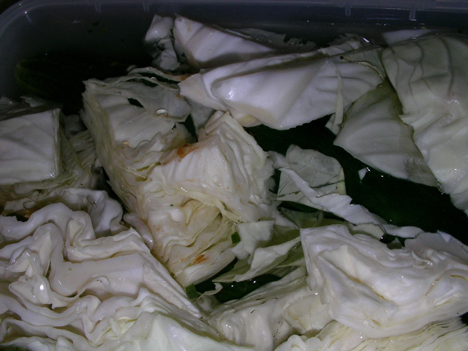 20150911_08.jpg