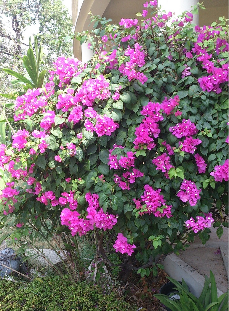 20150220_12.jpg