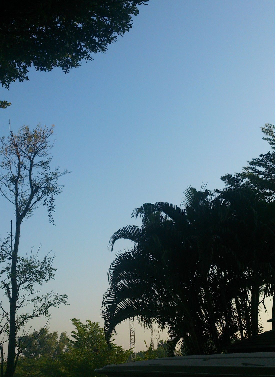 20151126_01.jpg