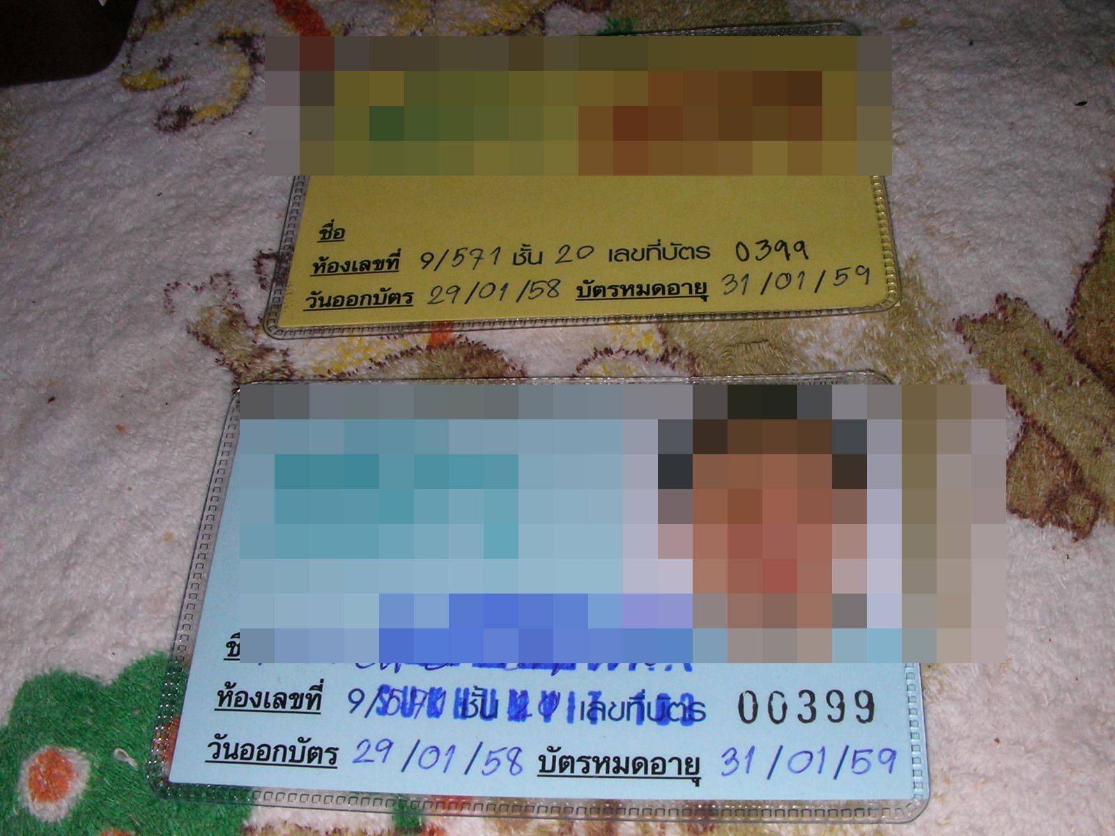 20150219_03.jpg