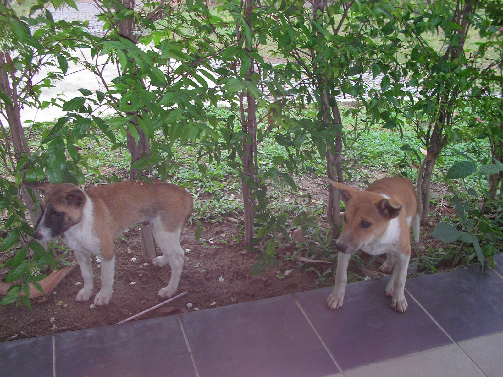 20150217_10.jpg