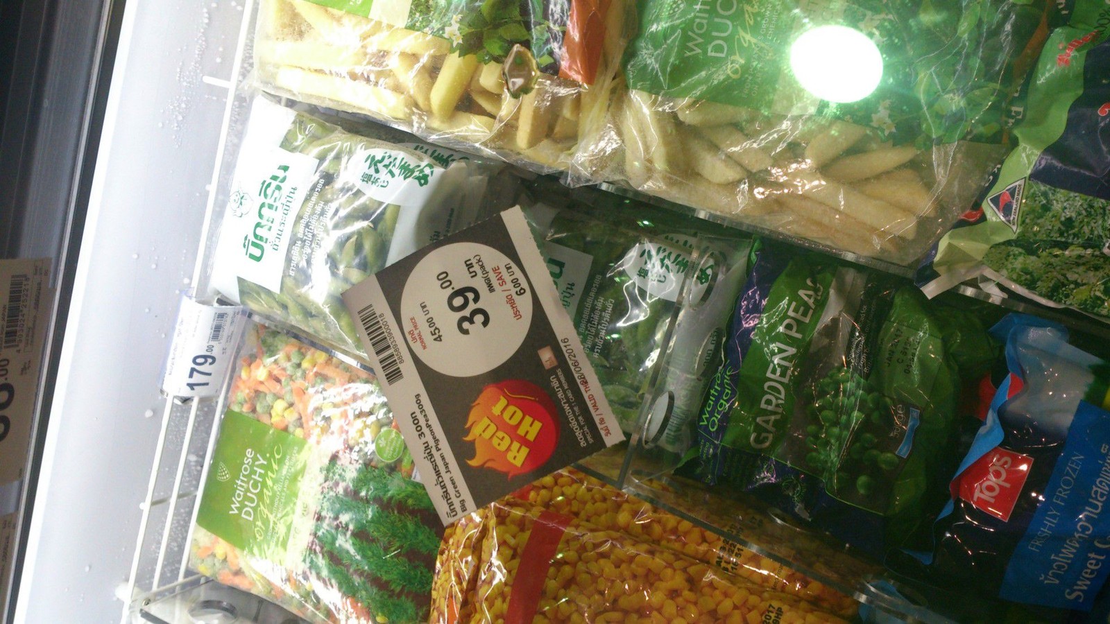 20160730_03.jpg