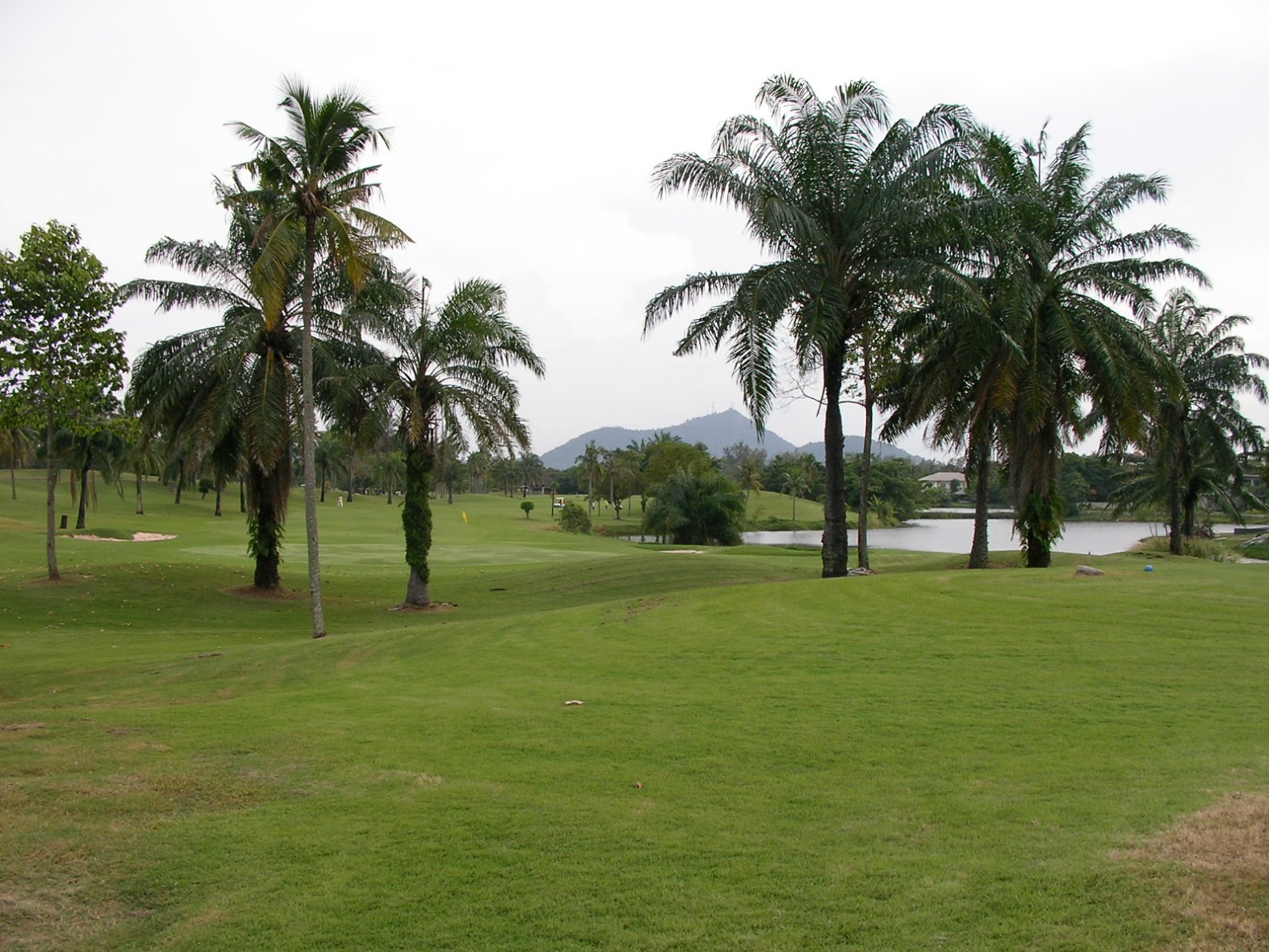 20131113_08.jpg