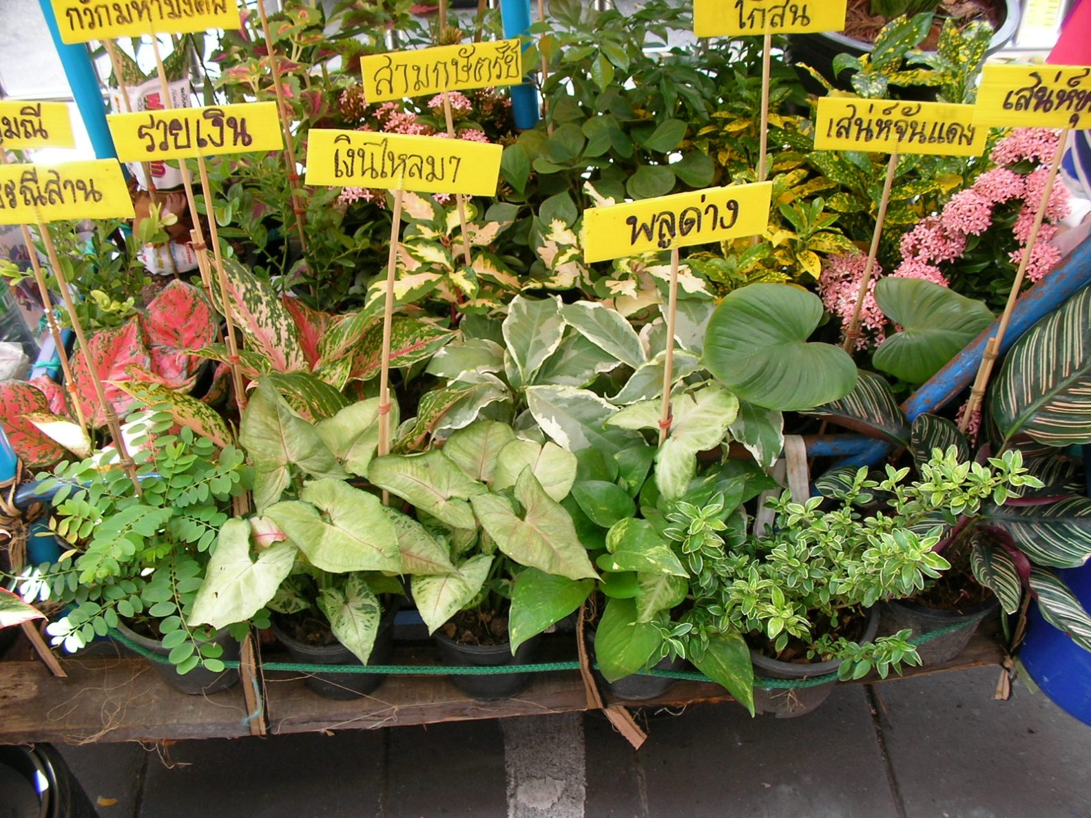 20130720_07.jpg
