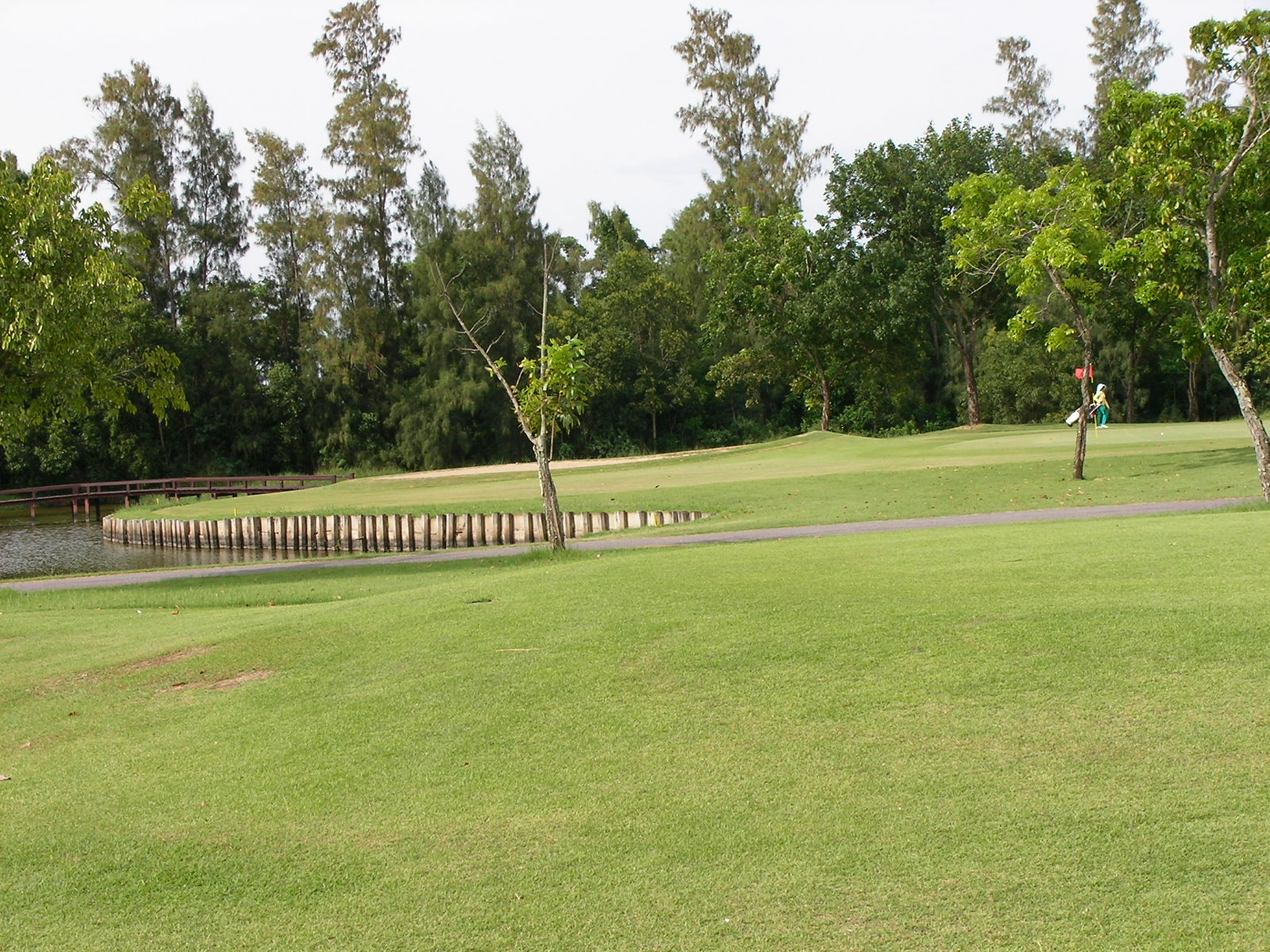 20140730_10.jpg