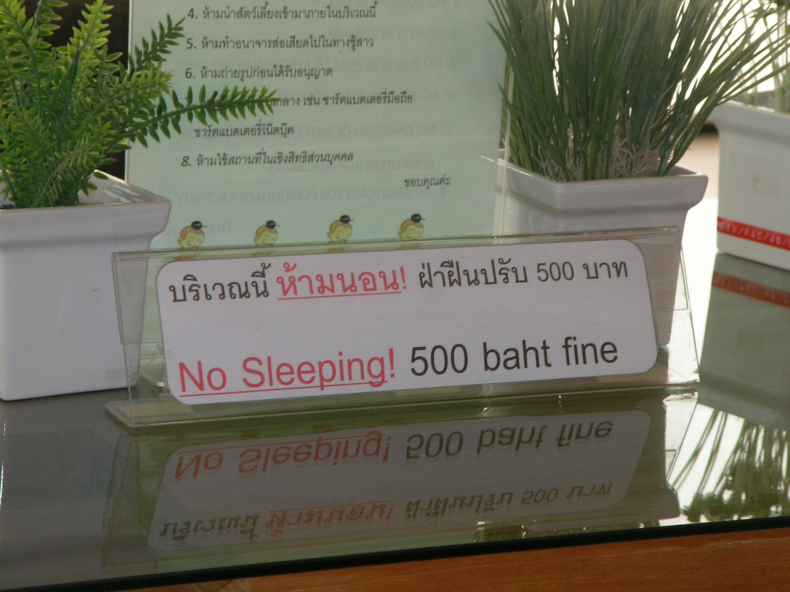 20150613_07.jpg