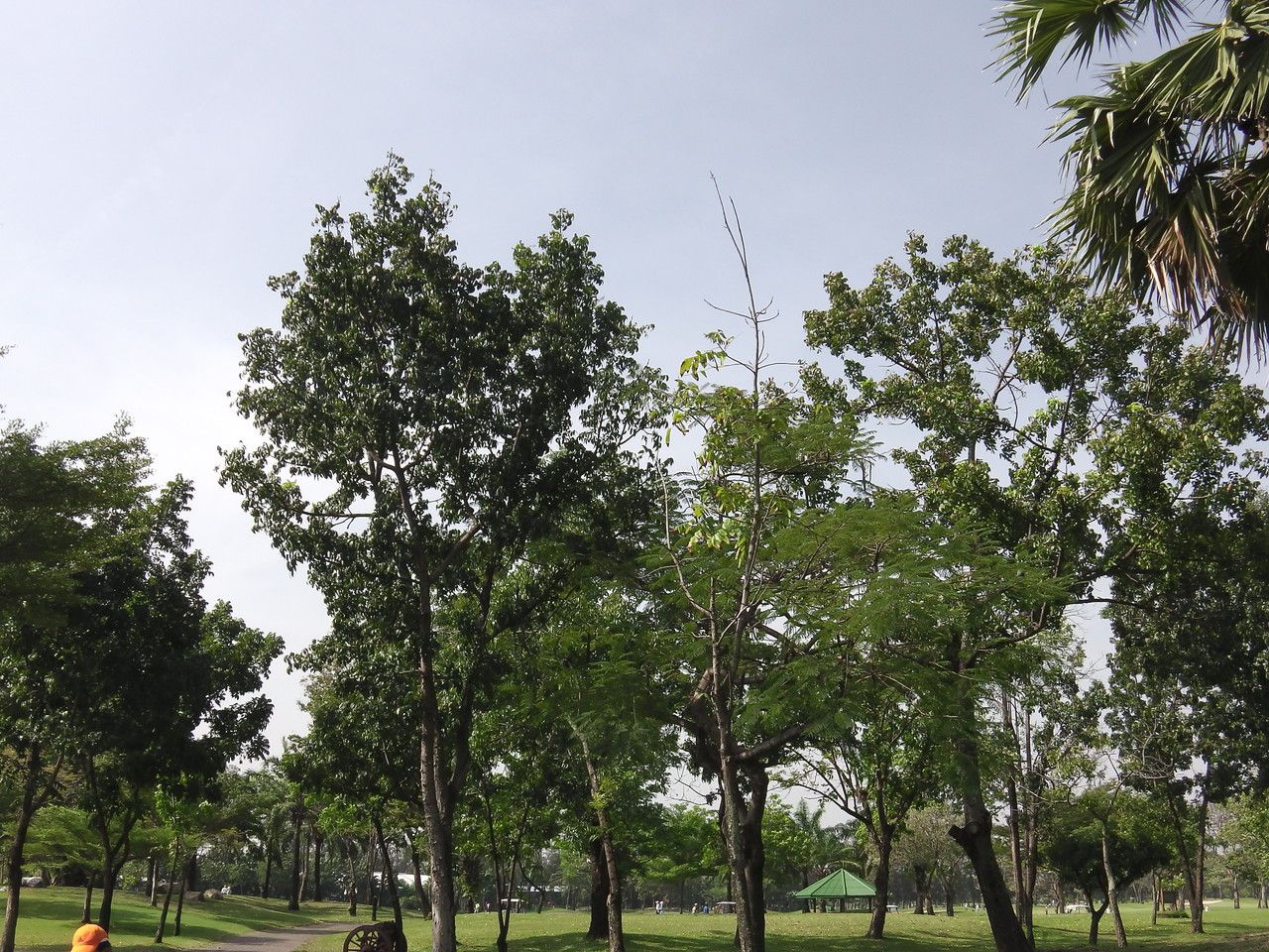 20160209_11.jpg