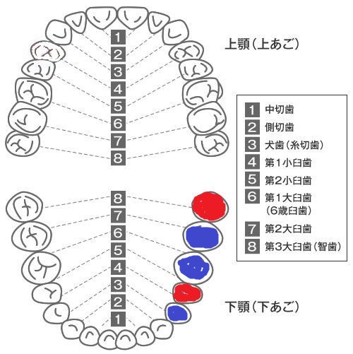 20151222_04.jpg