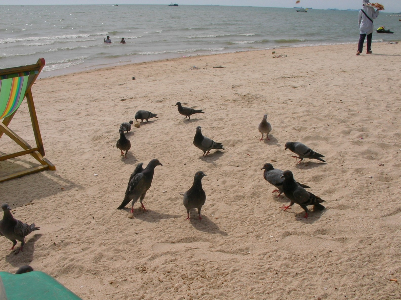20130516_08.jpg