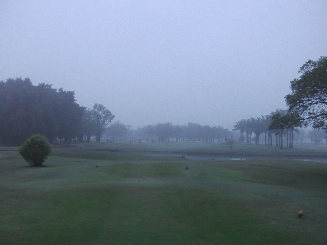 20160215_03.jpg