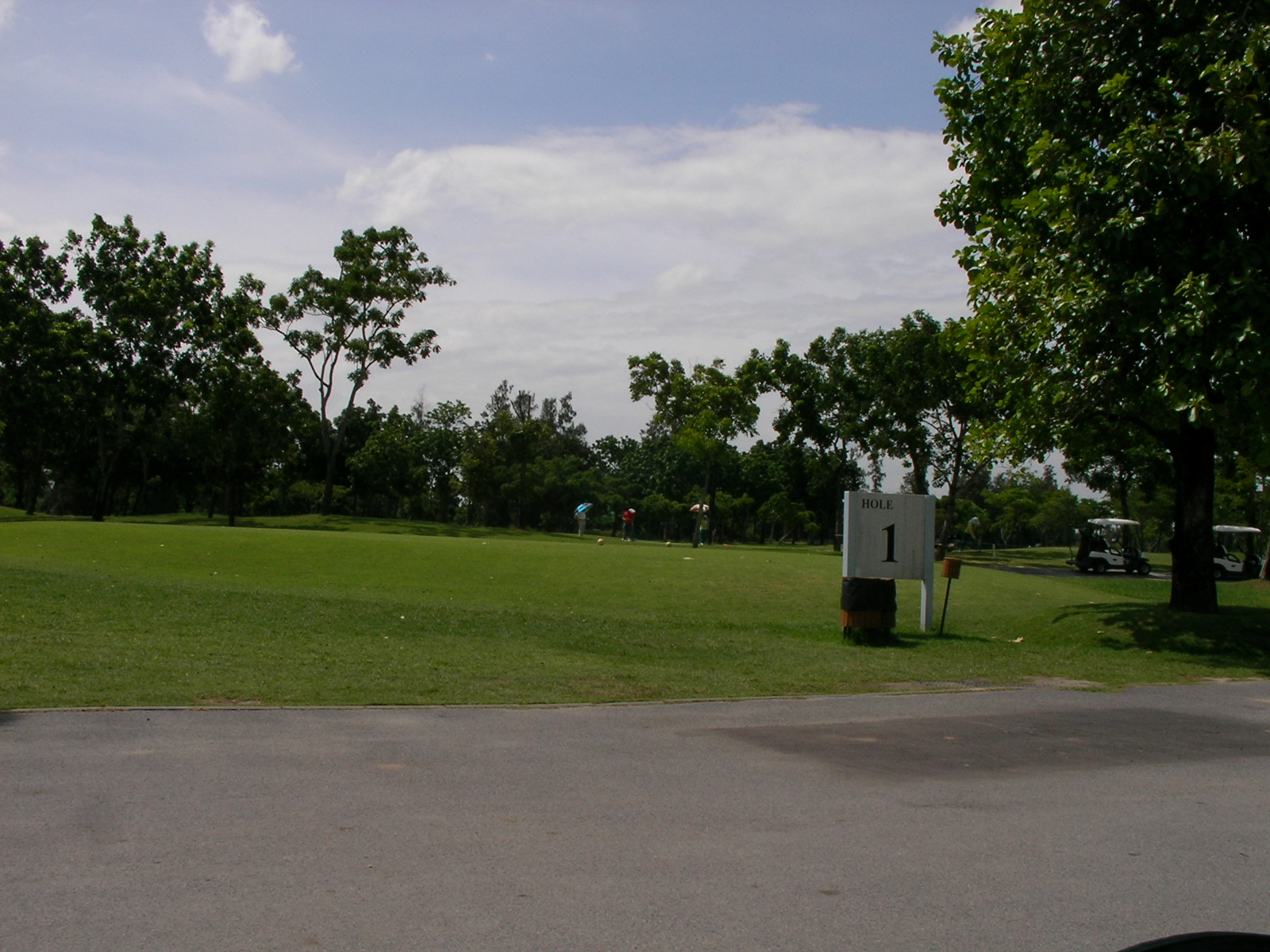 20140730_06.jpg