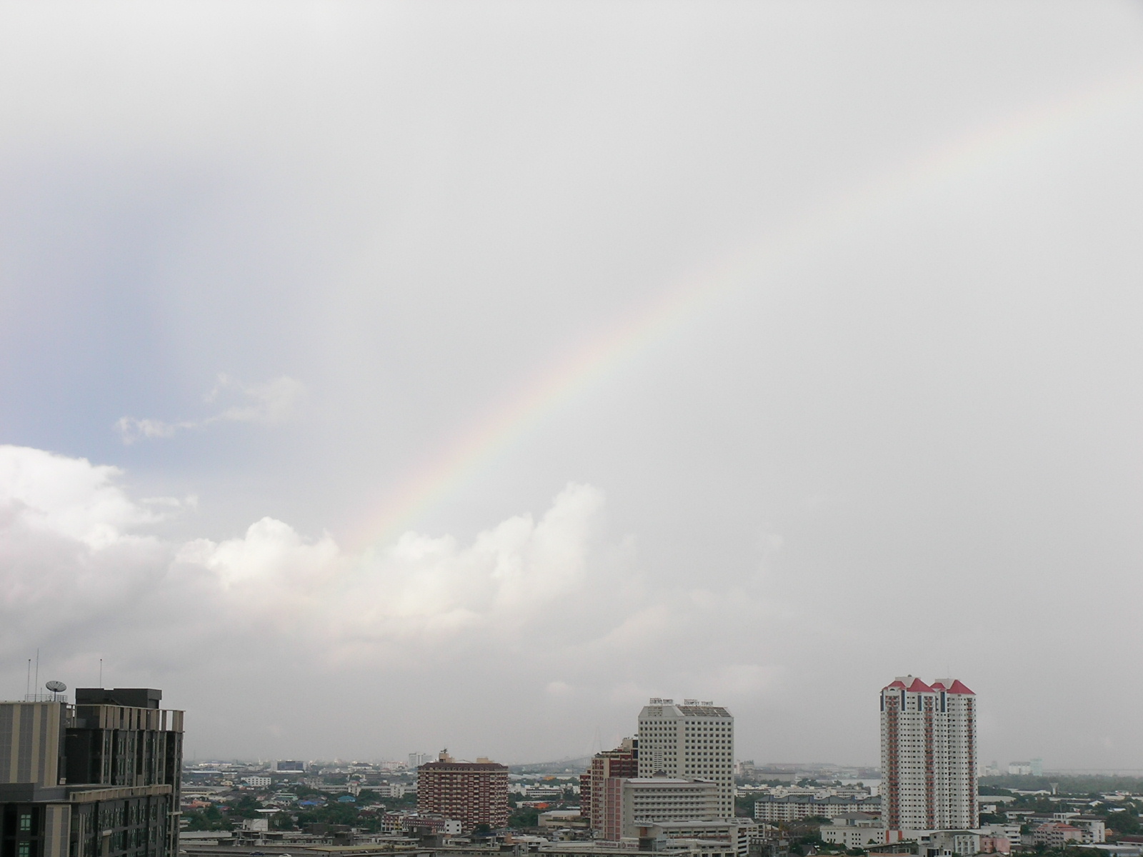 20140821_02.jpg