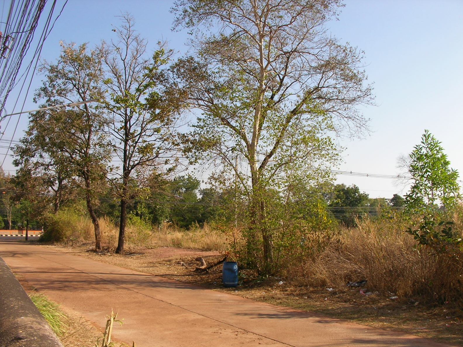20130123_03.jpg