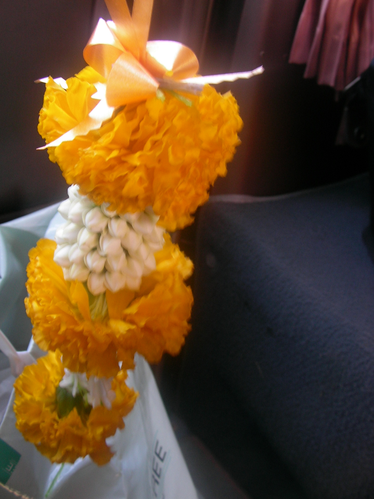 20130122_06.jpg