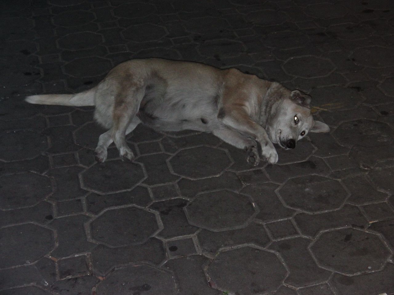 20160216_04.jpg