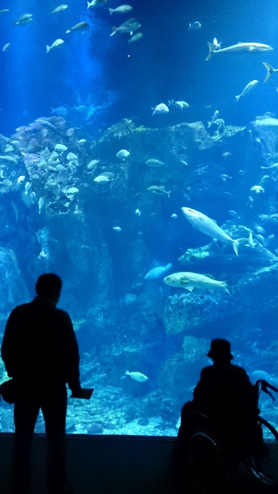 20160419_06.jpg