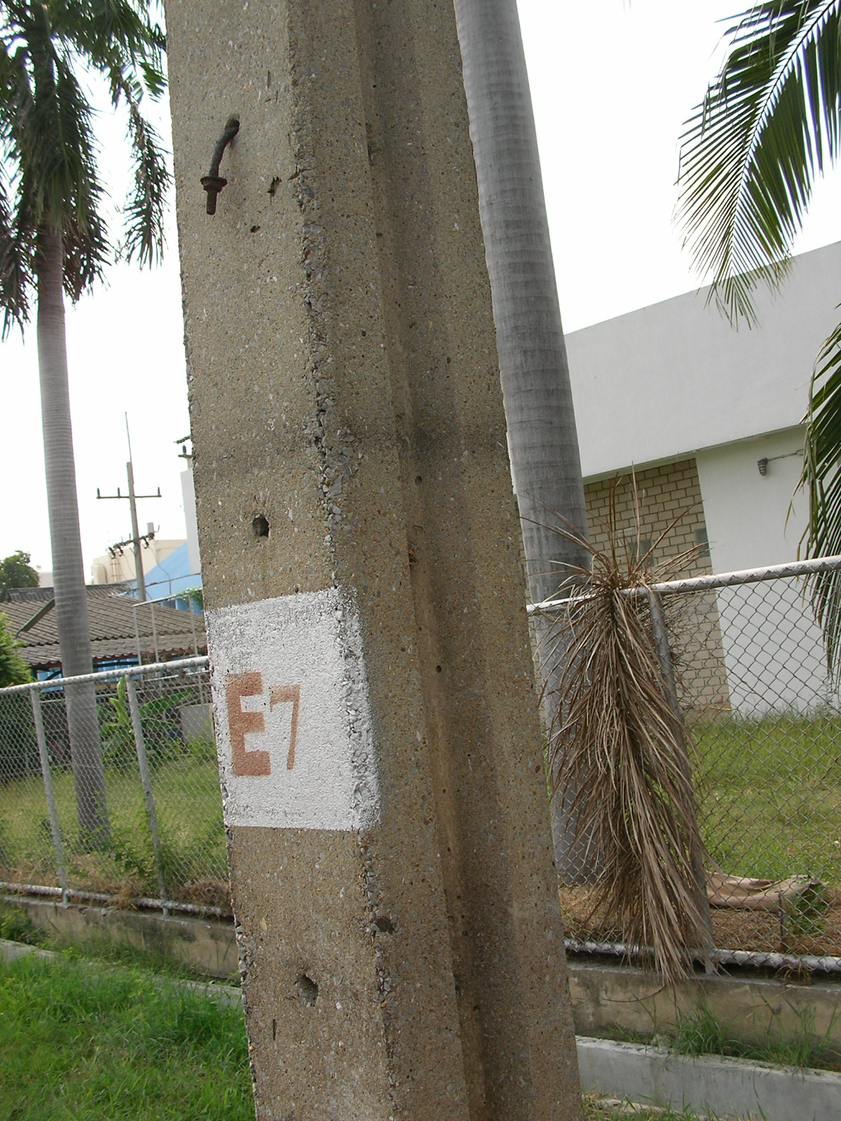 20150323_15.jpg