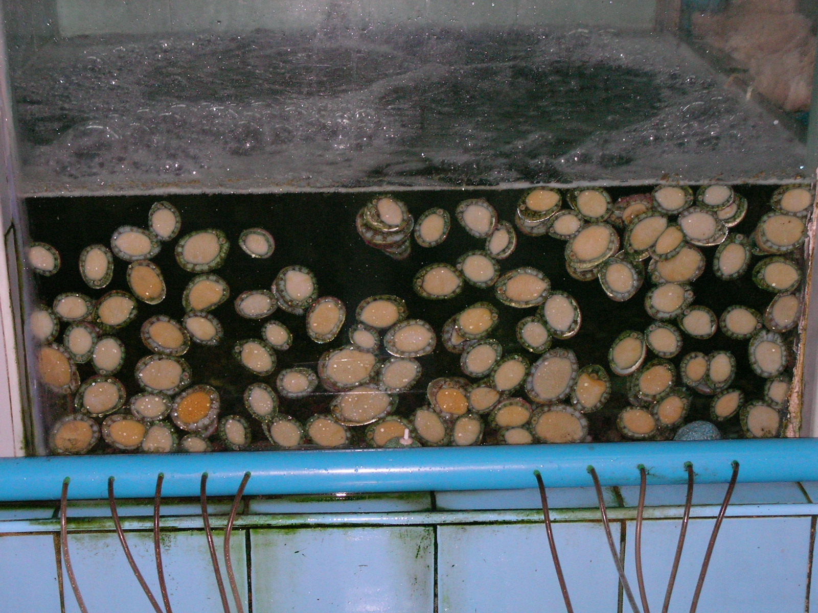 20140919_04.jpg