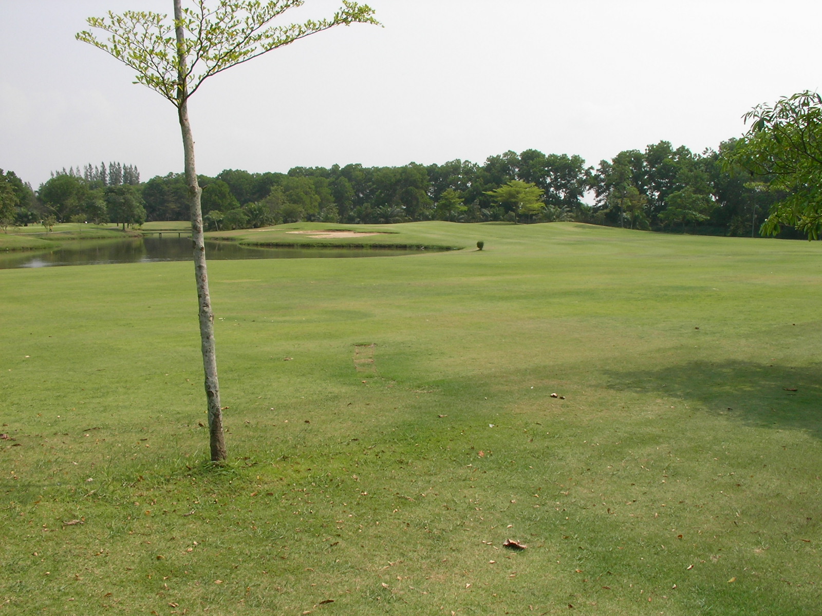 20140220_06.jpg