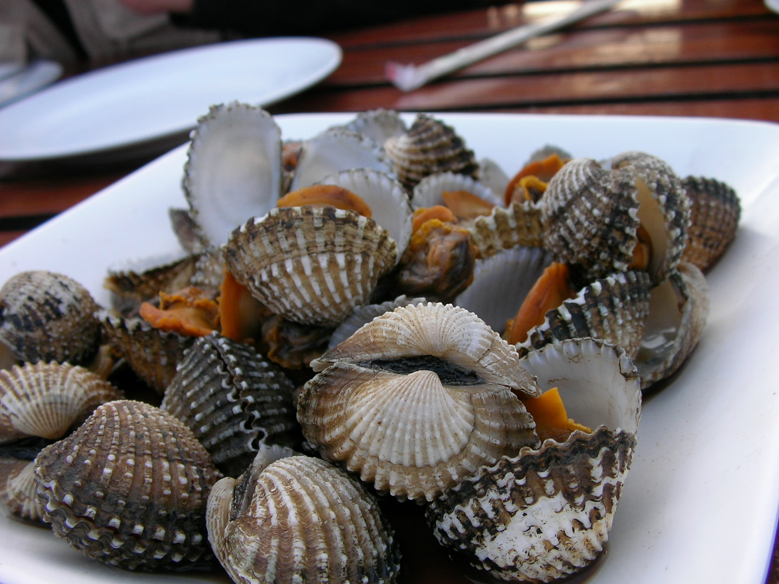 20140218_07.jpg
