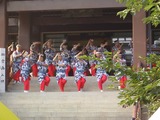 03071e56.jpg