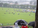 23b6f712.jpg