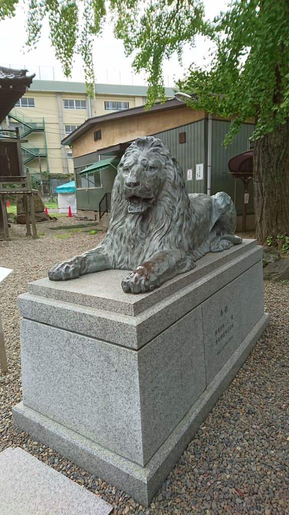 ÃÓÂÞ»°±Û¤Î¥é¥¤¥ª¥ó