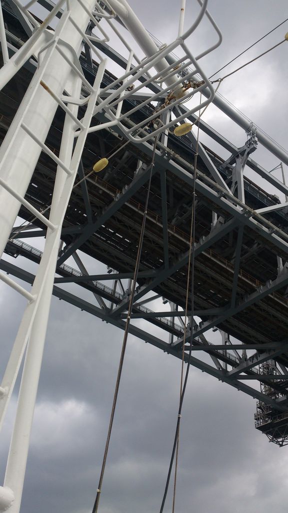 �����綶18