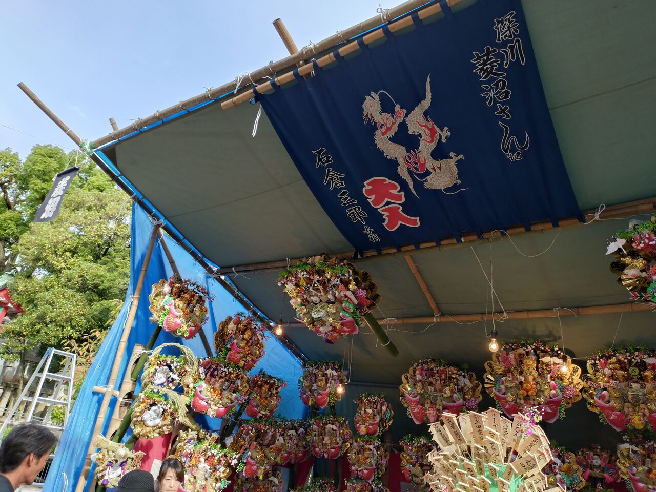 6