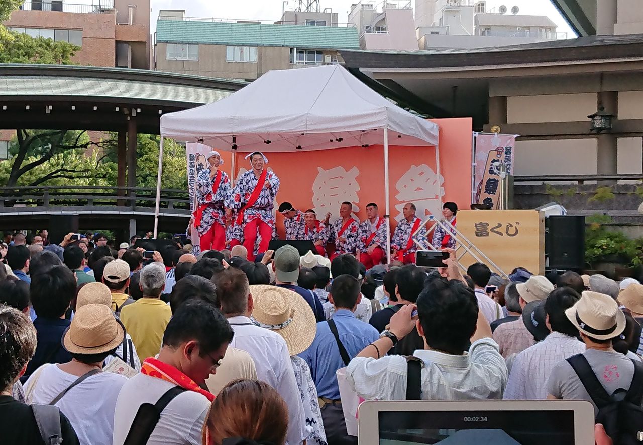 10.�椿���������