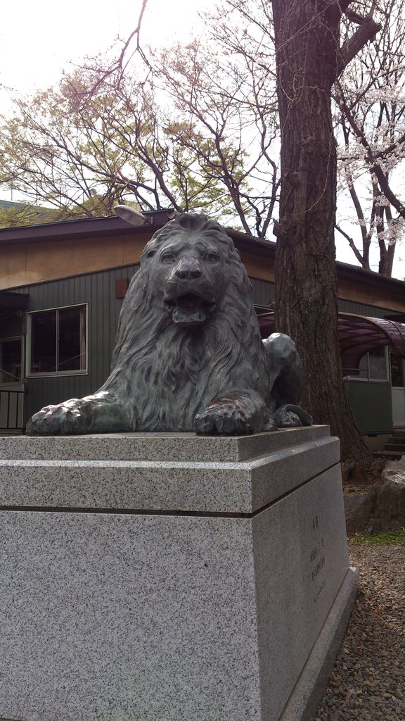 ���޻��ۤΥ饤����