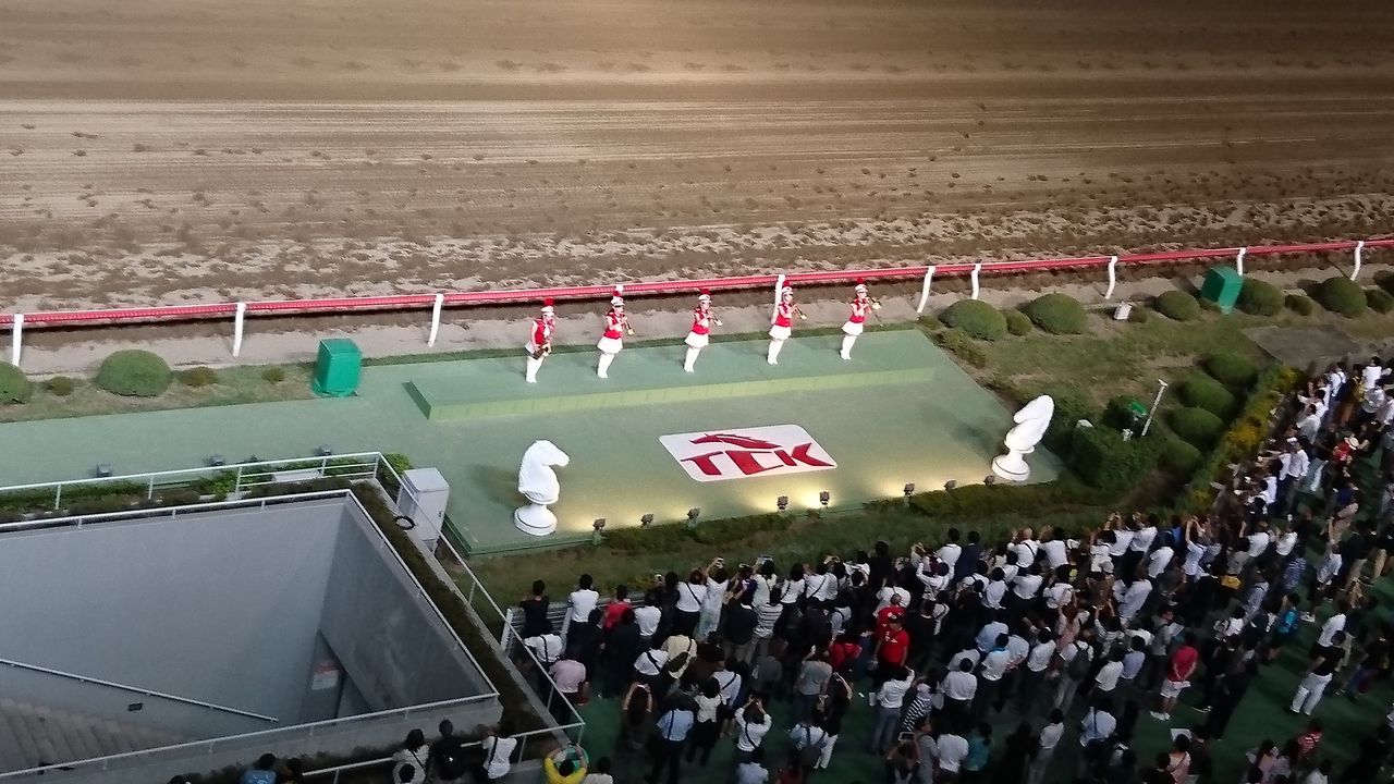 12.�ե���ե�������