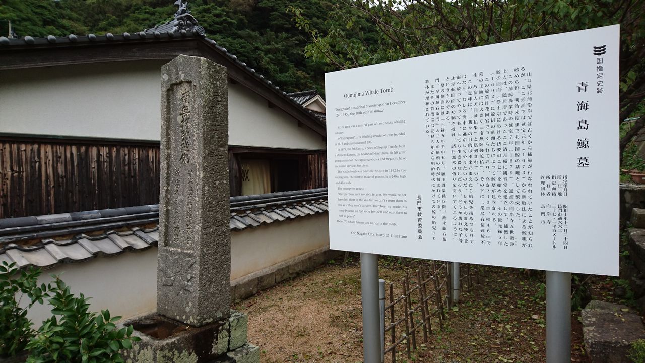 22.��������