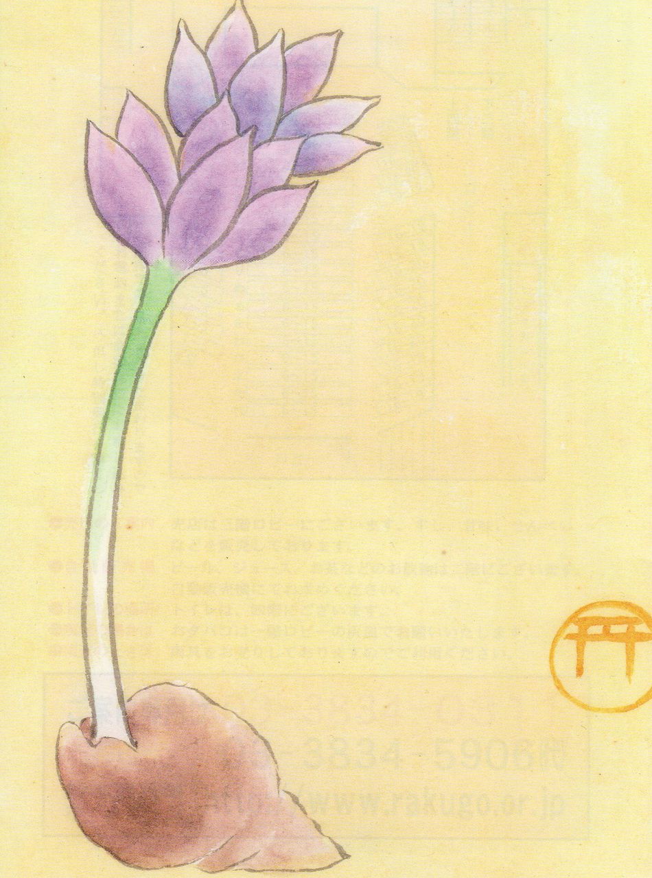 11,�ץ������ɽ��