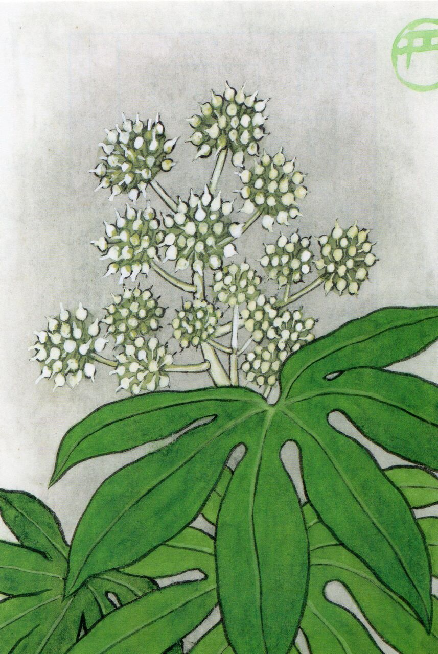 2019,12,26,����