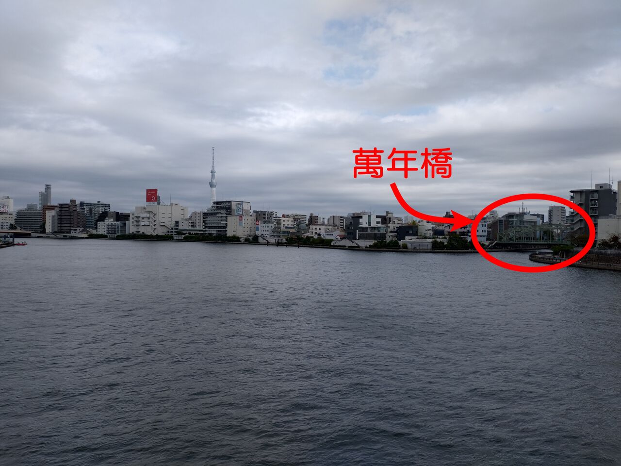 11月6日（水）明治座歌舞伎昼の部 : 正朝通信