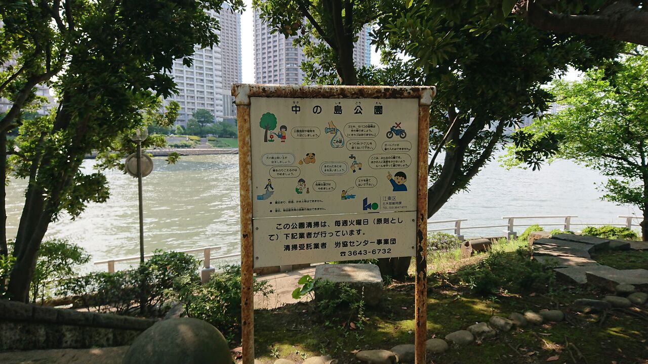 10.��������