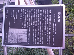 CIMG6241