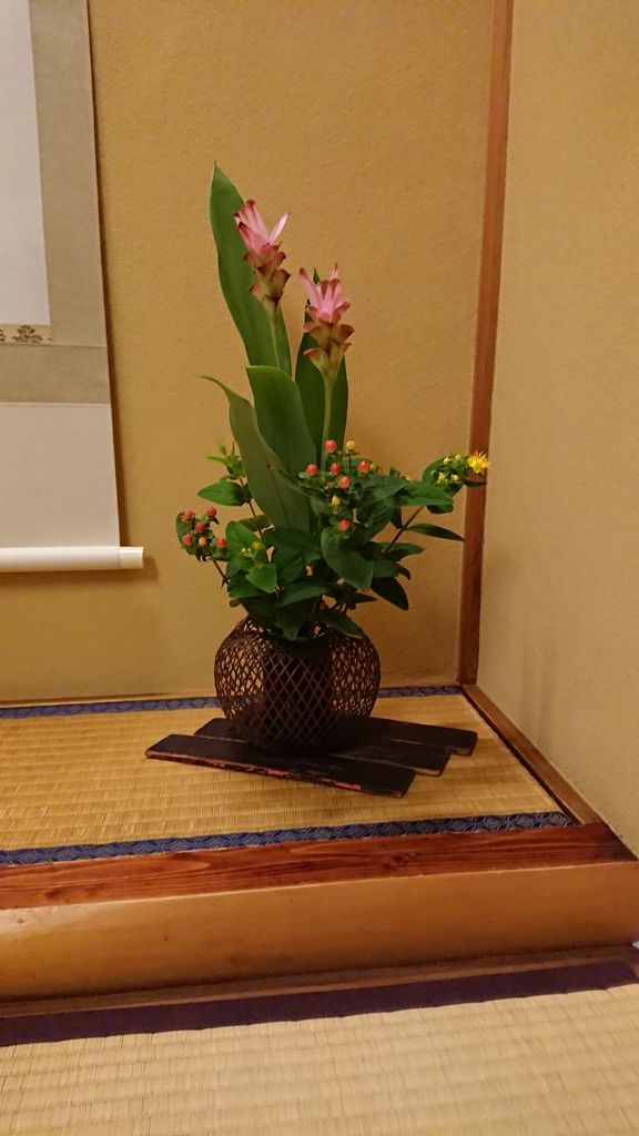11.�ͷ�Į��Ⱦ��Ź