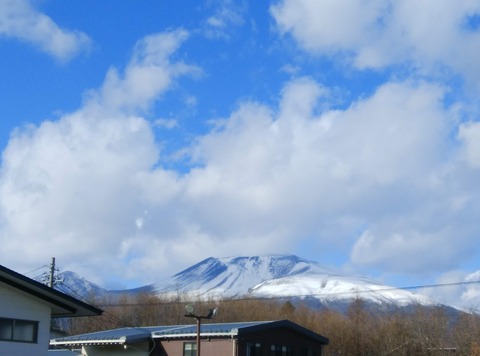 DSC_2046 (2)