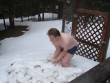 noah #2