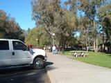 reat area4