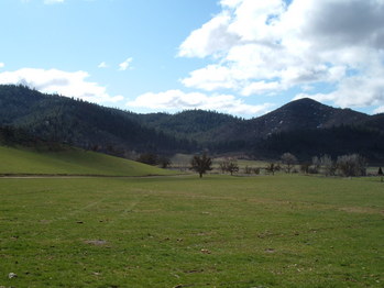 DSCF0108
