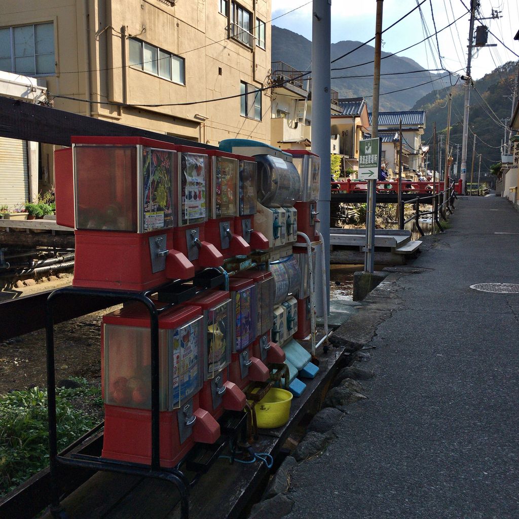 浜道楽 静岡 No Rice No Life