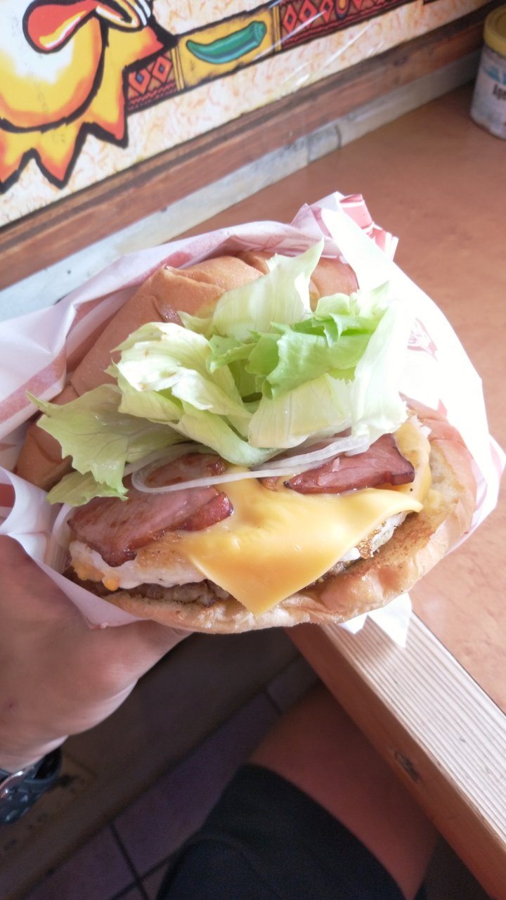 21日目 : オタク、日本縦断するってよ