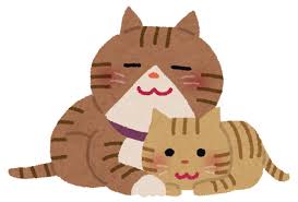 ［1/2］被災したのでコトメ宅に避難することに。コトメ『猫はアレルギーだからダメ！』 → 私と猫は家族と別居状態に！コトメのワガママでこんな事になるなんて…