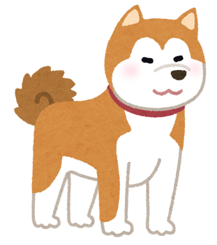 dog_akitainu
